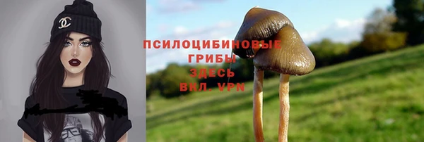 a pvp Алексин