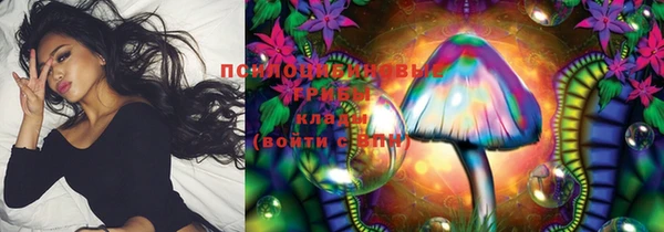 прущие крисы Алексеевка