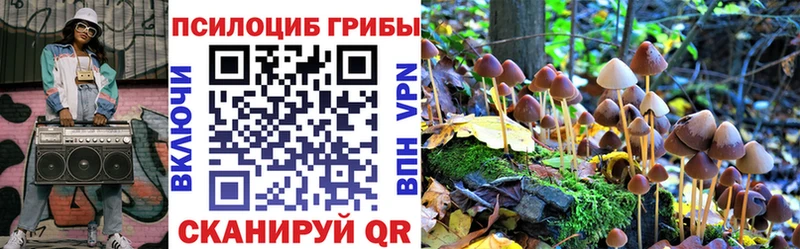 Псилоцибиновые грибы мицелий  Асино 