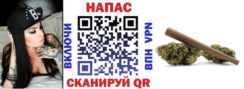 Бошки марихуана планчик  купить   Асино 